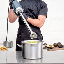 500W 50cm Commercial Immersion Blender – IB500LV — Kenya · WIMU Kitchen