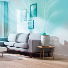 2000 Series Air Humidifier HU4811/90 — Kenya · WIMU Kitchen