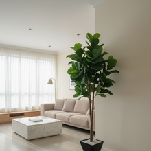 190cm Artificial Fiddle Leaf Plant with Vase and Pebbles — WIMU Kitchen Nairobi — Kenya · WIMU Kitchen