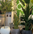 Premium minimalist design flower planters