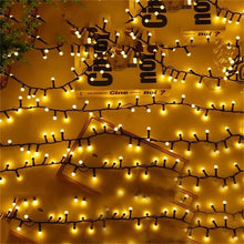 Fairy Christmas lights (view 3) — Kenya · WIMU Kitchen