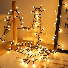 Fairy Christmas lights (view 2) — Kenya · WIMU Kitchen
