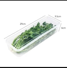 Refrigerator Herb Storage Box / Fresh Keeping Crisper Organizer with Lid (view 5) — Kenya · WIMU Kitchen