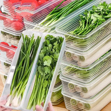 Refrigerator Herb Storage Box / Fresh Keeping Crisper Organizer with Lid (view 8) — Kenya · WIMU Kitchen
