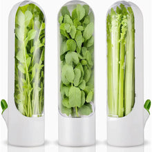 Herb & Vegetable Fresh-Keeping Cup – Transparent Fridge Storage Container With Lid — WIMU Kitchen Nairobi — Kenya · WIMU Kitchen