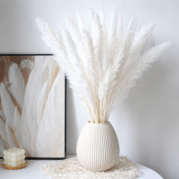 Mini Dried Pampas Grass Bouquet – 10 Natural Boho Stems for Vases & Décor — WIMU Kitchen Nairobi — Kenya · WIMU Kitchen Nairobi