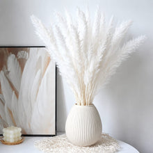Mini Dried Pampas Grass Bouquet – 10 Natural Boho Stems for Vases & Décor — WIMU Kitchen Nairobi — Kenya · WIMU Kitchen