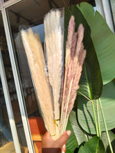 Mini Dried Pampas Grass Bouquet – 10 Natural Boho Stems for Vases & Décor — WIMU Kitchen Nairobi — Kenya · WIMU Kitchen