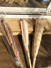 Mini Dried Pampas Grass Bouquet – 10 Natural Boho Stems for Vases & Décor — WIMU Kitchen Nairobi — Kenya · WIMU Kitchen