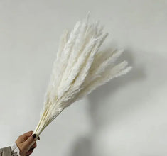 Mini Dried Pampas Grass Bouquet – 10 Natural Boho Stems for Vases & Décor — WIMU Kitchen Nairobi — Kenya · WIMU Kitchen