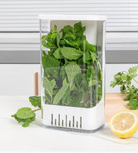 Airtight Acrylic Herb Keeper Box for Dhania, Mint and Spring Onions, Stackable — WIMU Kitchen Nairobi — Kenya · WIMU Kitchen