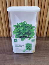 Airtight Acrylic Herb Keeper Box for Dhania, Mint and Spring Onions, Stackable — WIMU Kitchen Nairobi — Kenya · WIMU Kitchen