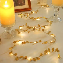 10M Battery-Powered Christmas Fairy Lights, Silver or Gold — WIMU Kitchen Nairobi — Kenya · WIMU Kitchen