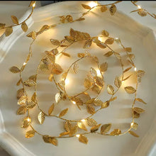 10M Battery-Powered Christmas Fairy Lights, Silver or Gold — WIMU Kitchen Nairobi — Kenya · WIMU Kitchen