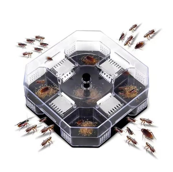 Chemical-Free Cockroach Trap Bait Station with Free Bait, 14 x 14 cm — WIMU Kitchen Nairobi — Kenya · WIMU Kitchen Nairobi