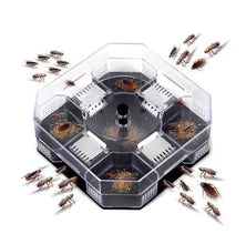 Chemical-Free Cockroach Trap Bait Station with Free Bait, 14 x 14 cm — WIMU Kitchen Nairobi — Kenya · WIMU Kitchen