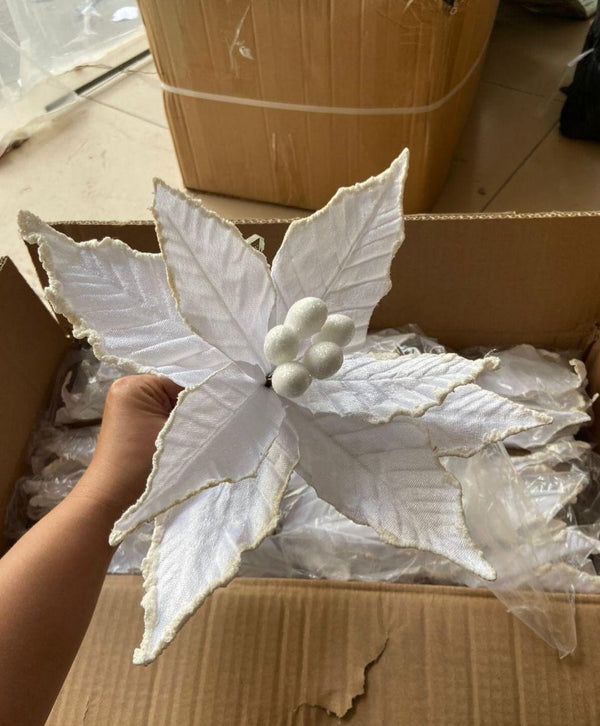 White Flannel Poinsettia Christmas Flower With Berry Centre — WIMU Kitchen Nairobi — Kenya · WIMU Kitchen Nairobi