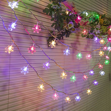 LED Fairy Lights – 5m Waterproof String — WIMU Kitchen Nairobi — Kenya · WIMU Kitchen