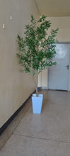 Artificial Olive Plant with Vase, 180cm or 220cm — view 2 — Kenya · WIMU Kitchen