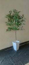 Artificial Olive Plant with Vase, 180cm or 220cm — view 3 — Kenya · WIMU Kitchen