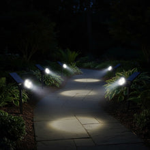 IP65 Waterproof Solar LED Garden Spotlight with Adjustable Head — WIMU Kitchen Nairobi — Kenya · WIMU Kitchen