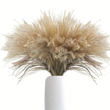 Never Wilts: Natural Dried Pampas Grass Reed Stems, Bundle of 10 — WIMU Kitchen Nairobi — Kenya · WIMU Kitchen