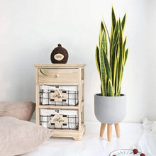 Real Touch Artificial Snake Plant - 12 Leaf Yellow-Edged Sansevieria in Pot — WIMU Kitchen Nairobi — Kenya · WIMU Kitchen