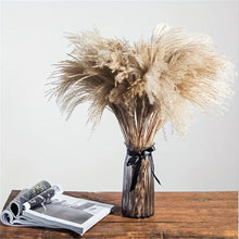 Never Wilts: Natural Dried Pampas Grass Reed Stems, Bundle of 10 — WIMU Kitchen Nairobi — Kenya · WIMU Kitchen