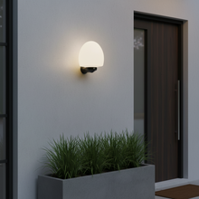 Round Globe Wall Light with E27 Holder - IP44 Black Frame 315 x 283mm TG MONG-20-10-8B — WIMU Kitchen Nairobi — Kenya · WIMU Kitchen