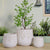 Honeycomb Textured Concrete Planters - Indoor and Outdoor Plant Pots in 3 Sizes — WIMU Kitchen Nairobi