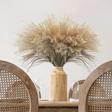 Never Wilts: Natural Dried Pampas Grass Reed Stems, Bundle of 10 — WIMU Kitchen Nairobi — Kenya · WIMU Kitchen