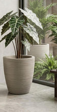 Tall Tapered Planter – Modern Floor Plant Pot for Indoor & Outdoor — WIMU Kitchen Nairobi — Kenya · WIMU Kitchen