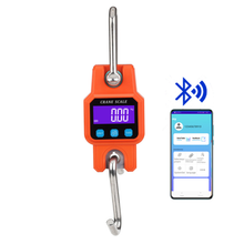 Digital Heavy-Duty Weighing Scale - Nairobi, Kenya — view 6 — Kenya · WIMU Kitchen