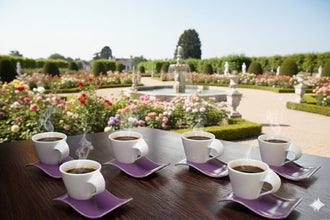6 Piece Espresso Cup & Saucer Set, 120ml Ceramic — view 5 — Kenya · WIMU Kitchen