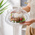 Transparent Microwave Food Splatter Cover with Base Plate and Handle — WIMU Kitchen Nairobi