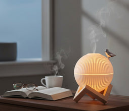 Lark Bird Ultrasonic Humidifier & Diffuser – in use — Kenya · WIMU Kitchen