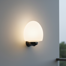 Round Globe Wall Light with E27 Holder - IP44 Black Frame 315 x 283mm TG MONG-20-10-8B — WIMU Kitchen Nairobi — Kenya · WIMU Kitchen