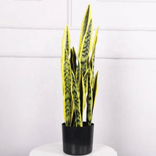 Real Touch Artificial Snake Plant - 12 Leaf Yellow-Edged Sansevieria in Pot — WIMU Kitchen Nairobi — Kenya · WIMU Kitchen